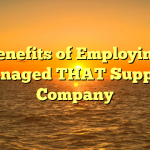 3 Benefits of Employing a Managed THAT Support Company