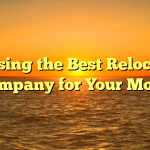 Choosing the Best Relocating Company for Your Move