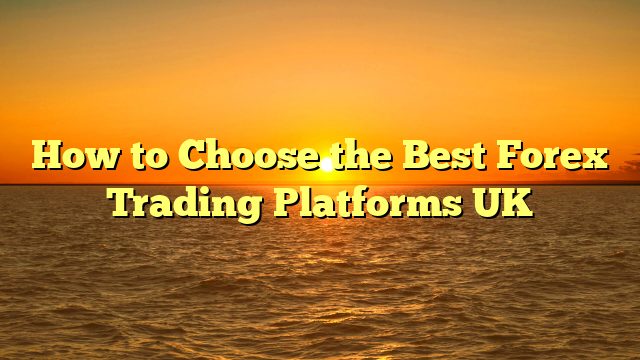 how-to-choose-the-best-forex-trading-platforms-uk-greis-anatomy