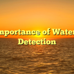 The Importance of Water Leak Detection