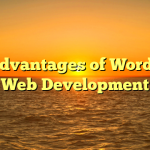 The advantages of WordPress Web Development
