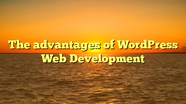 The advantages of WordPress Web Development