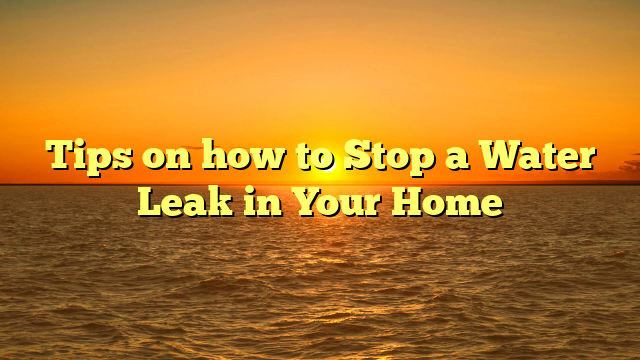 Tips on how to Stop a Water Leak in Your Home