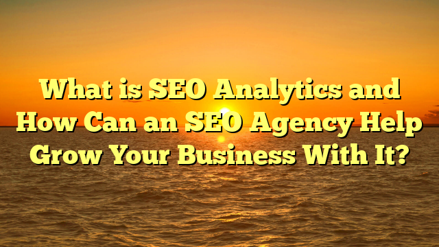 What is SEO Analytics and How Can an SEO Agency Help Grow Your Business With It?